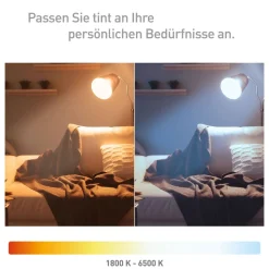 Müller Licht tint LED-globe G95 E27 5,5 W, guld