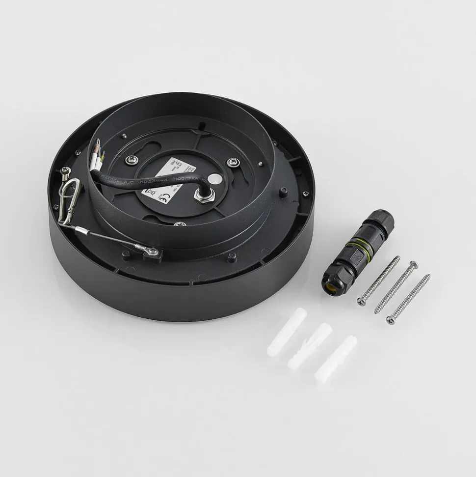 Molto Luce udendørs loftlampe Nona, Ø 18,2 cm, antracit