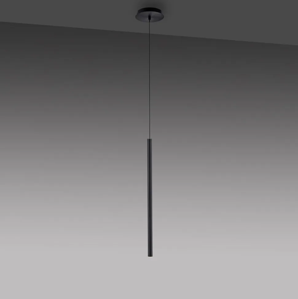 Paul Neuhaus Flute LED-hængelampe 1 lyskilde sort