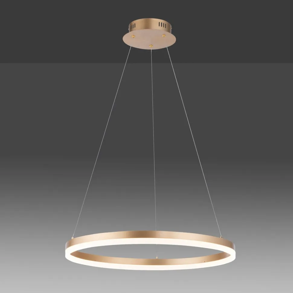 Paul Neuhaus LED-hængelampe Titus, Ø 60 cm, messing, dæmpbar