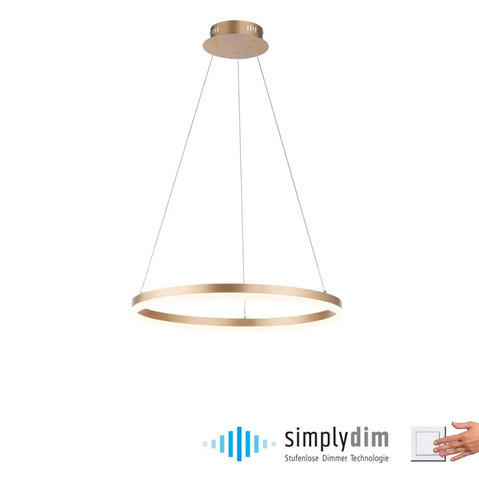 Paul Neuhaus LED-hængelampe Titus, Ø 60 cm, messing, dæmpbar