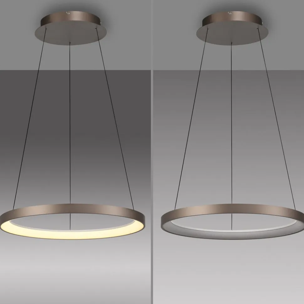 Paul Neuhaus LED-hængelampe Hoop, brun, Ø 57 cm, dæmpbar