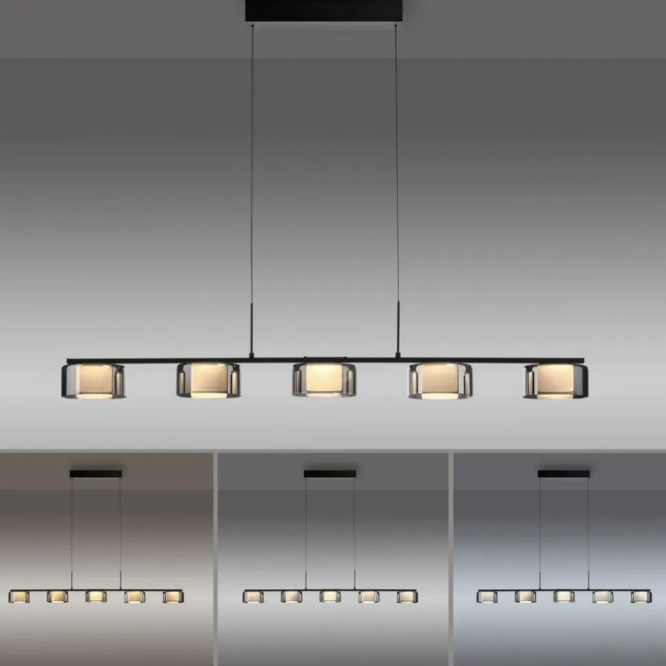 Paul Neuhaus LED-hængelampe Rika, 119 cm, glas, dæmpbar