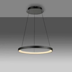 Paul Neuhaus LED-hængelampe Hoop, sort, Ø 57 cm, dæmpbar