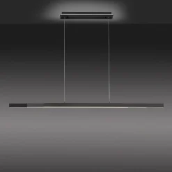 Paul Neuhaus Q-ARIAN LED-pendellampe, antracit