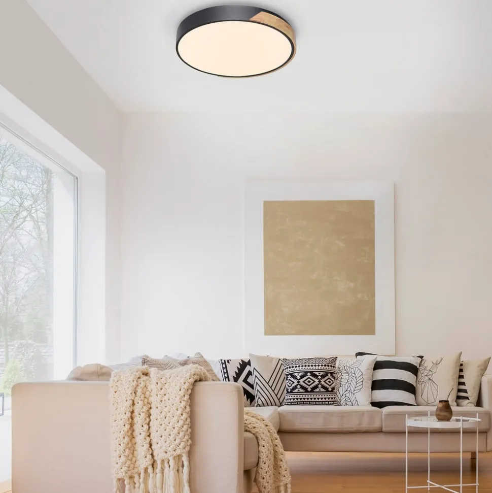Paul Neuhaus Q-BILA LED-loftlampe, sort/eg