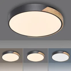 Paul Neuhaus Q-BILA LED-loftlampe, sort/eg