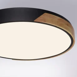 Paul Neuhaus Q-BILA LED-loftlampe, sort/eg