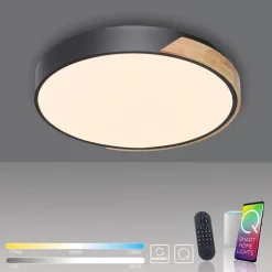 Paul Neuhaus Q-BILA LED-loftlampe, sort/eg