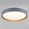 Paul Neuhaus Q-EMILIA LED-loftslampe, grå/træ