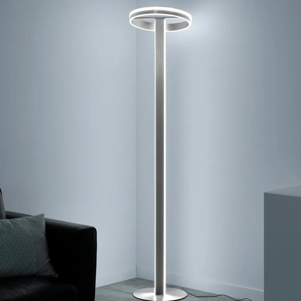 Paul Neuhaus Q-Vito LED-gulvlampe, lige med ring