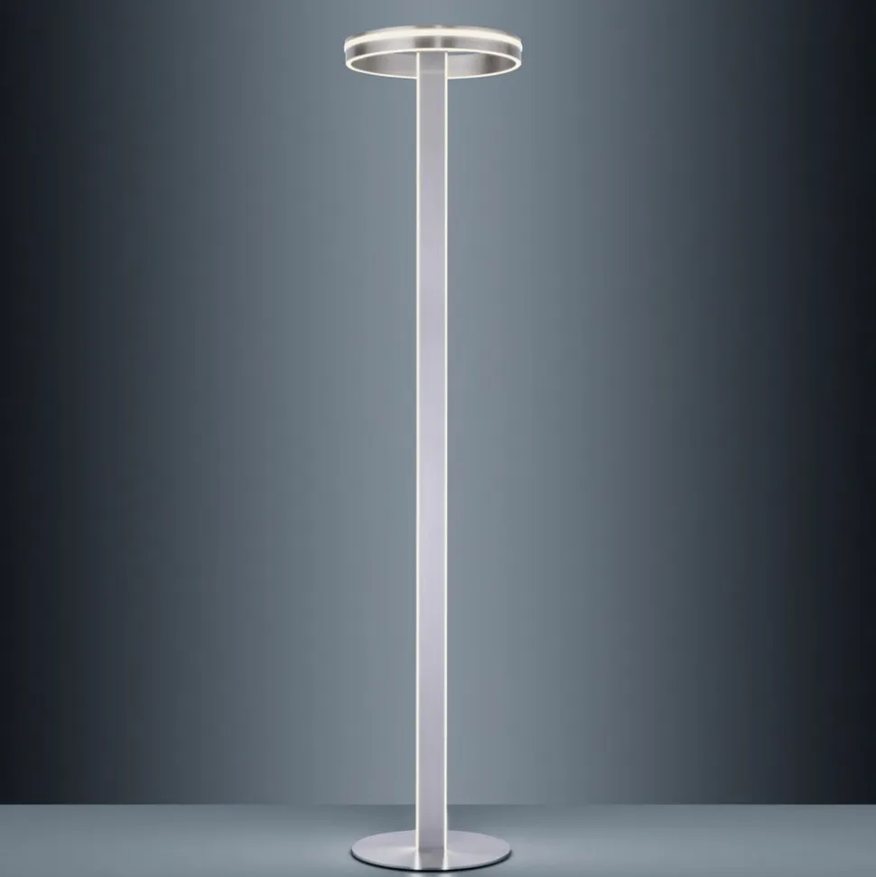 Paul Neuhaus Q-Vito LED-gulvlampe, lige med ring