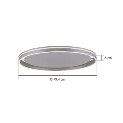 Paul Neuhaus Q-VITO LED-loftslampe 79 cm stål