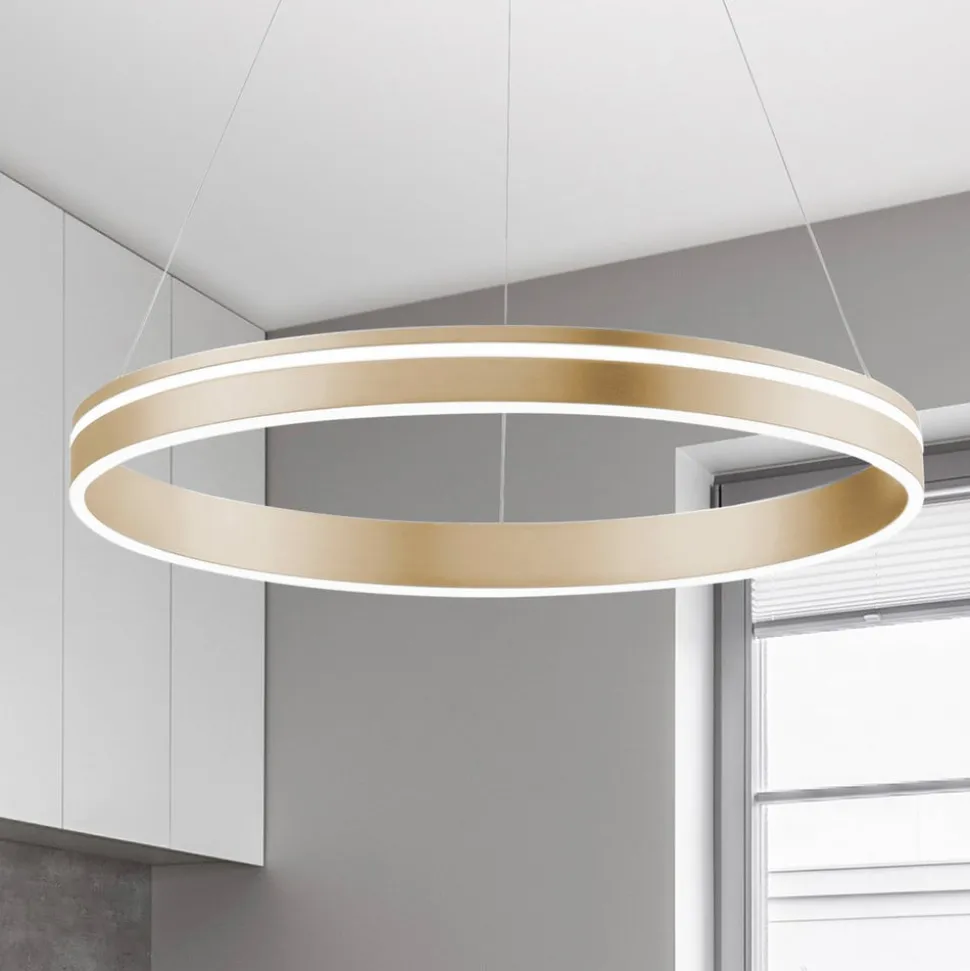 Paul Neuhaus Q-VITO LED-pendellampe, 1 ring