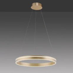 Paul Neuhaus Q-VITO LED-pendellampe, 1 ring