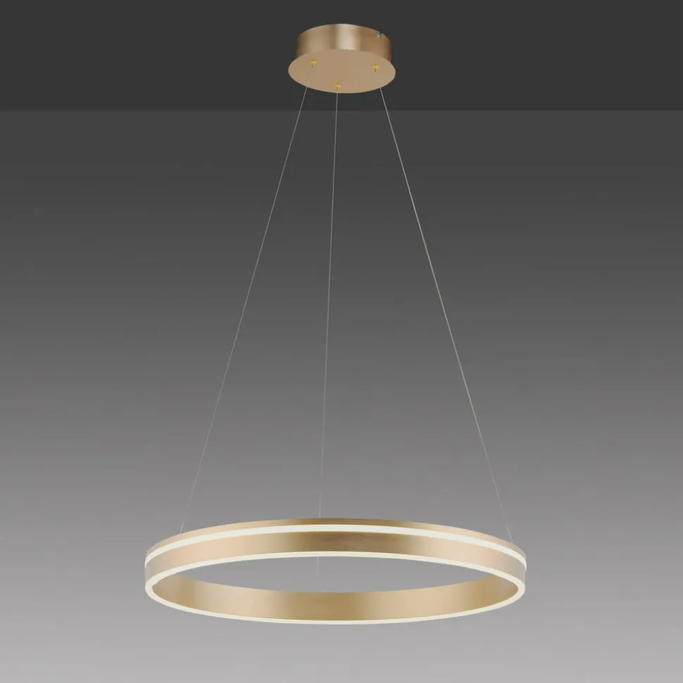 Paul Neuhaus Q-VITO LED-pendellampe, 1 ring