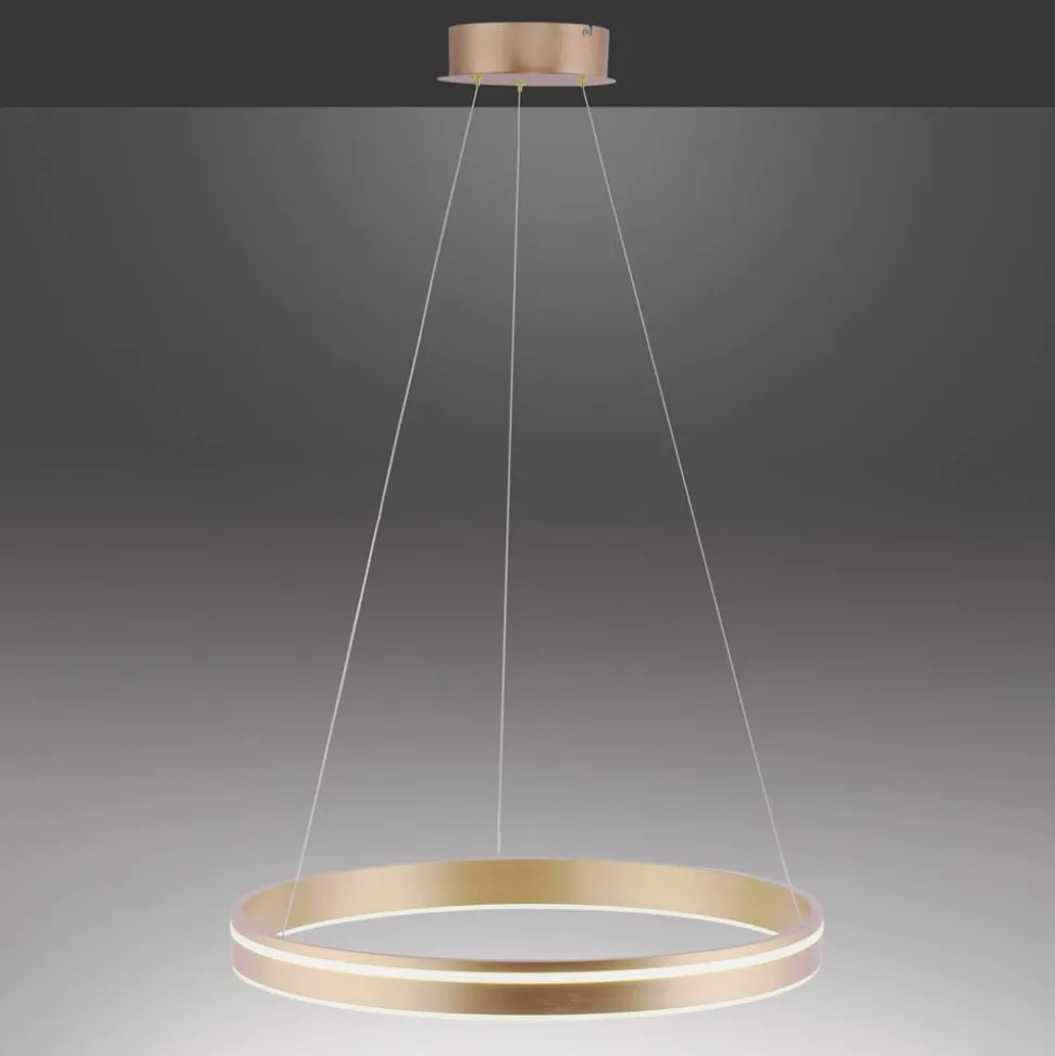 Paul Neuhaus Q-VITO LED-pendellampe, 1 ring