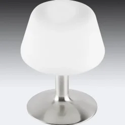 Paul Neuhaus Till bordlampe, stålfarvet, glas, dæmpbar