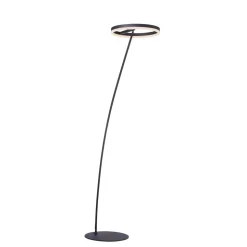 Paul Neuhaus Titus LED-gulvlampe antracit dæmper