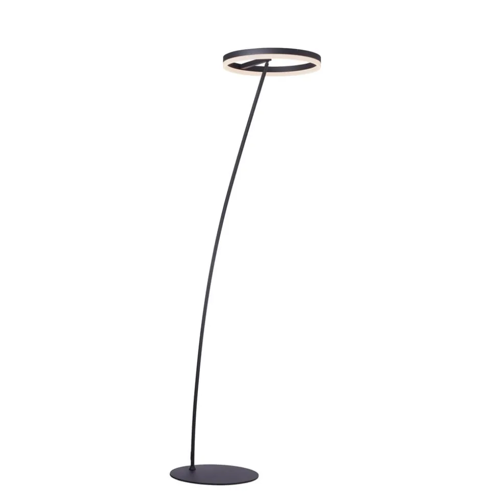 Paul Neuhaus Titus LED-gulvlampe antracit dæmper