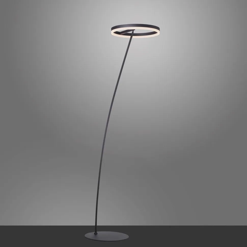 Paul Neuhaus Titus LED-gulvlampe antracit dæmper