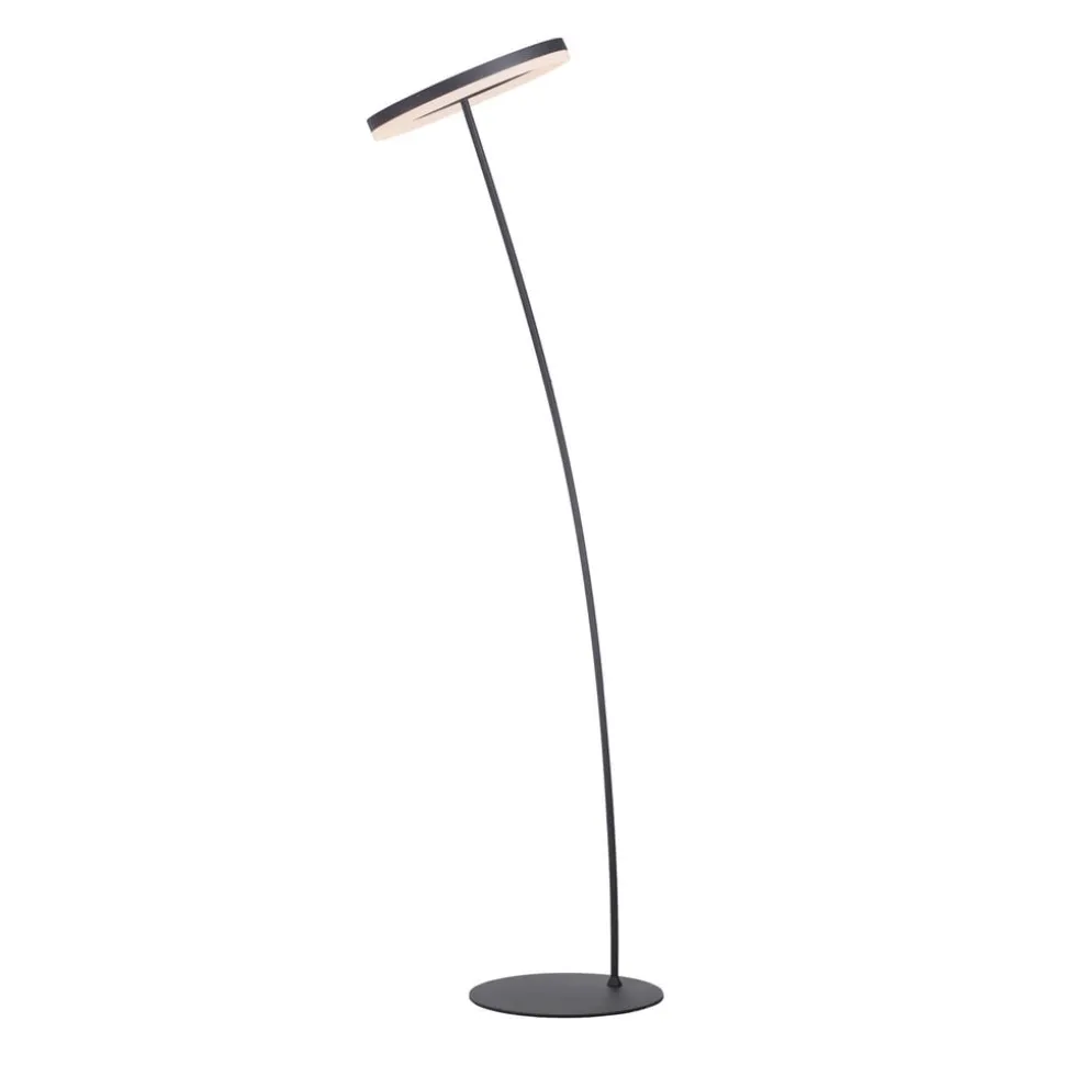 Paul Neuhaus Titus LED-gulvlampe antracit dæmper