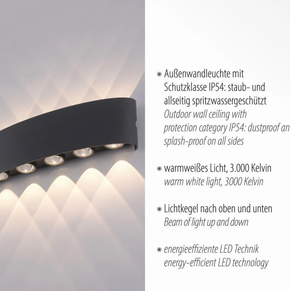 Paul Neuhaus udendørs LED-væglampe Carlo, 27 cm, sort