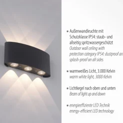 Paul Neuhaus udendørs LED-væglampe Carlo, 17 cm, sort