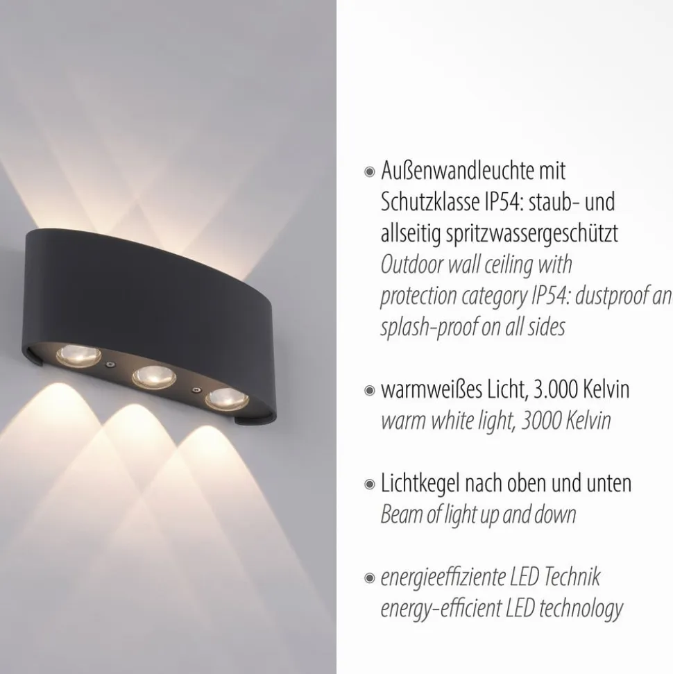 Paul Neuhaus udendørs LED-væglampe Carlo, 17 cm, sort