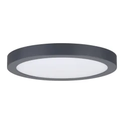 Paulmann Abia LED-panel Ø 30cm 2.700 K mørkegråt