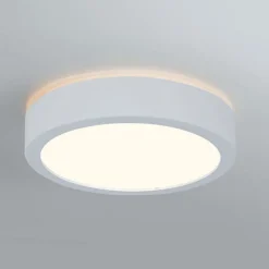 Paulmann Aviar LED-loftlampe Ø 22 cm hvid 3.000 K