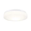 Paulmann Axin loftlampe IP44 med E27 fatning