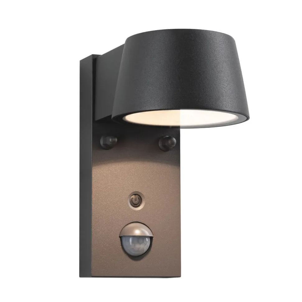 Paulmann Capea udendørs LED-væglampe, antracit, aluminium