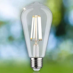 Paulmann Eco-Line LED-pære E27 4W 840lm 4.000 K
