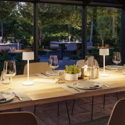 Paulmann LED-solcellelampe Else, hvid, IP44, dæmpbar
