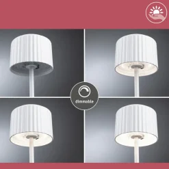Paulmann LED-solcellelampe Else, hvid, IP44, dæmpbar