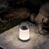 Paulmann mobil bordlampe Clutch, krom