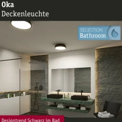 Paulmann Oka LED-loftlampe IP44 CCT sort