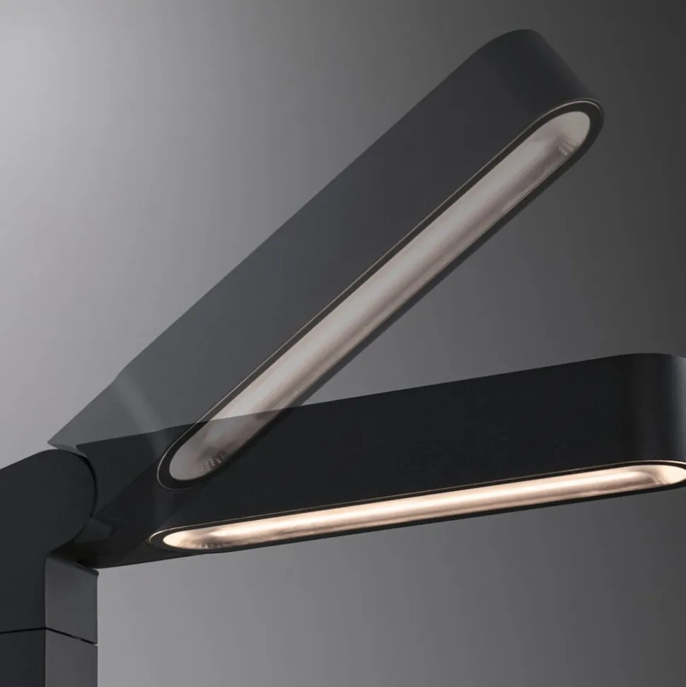 Paulmann Plug & Shine LED Ito-projektor, lodret, IP65