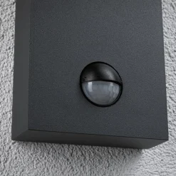 Paulmann Puka LED udendørs væglampe med sensor