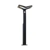 Paulmann Smart vejlampe Alara, RGBW antracit IP44