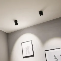 Paulmann Spircle LED-downlight, mat sort