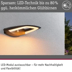 Paulmann udendørs LED-væglampe Akena, 2.200 K, antracit