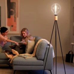 Philips Giant Globe røgfarvet LED-pære E27 6,5W