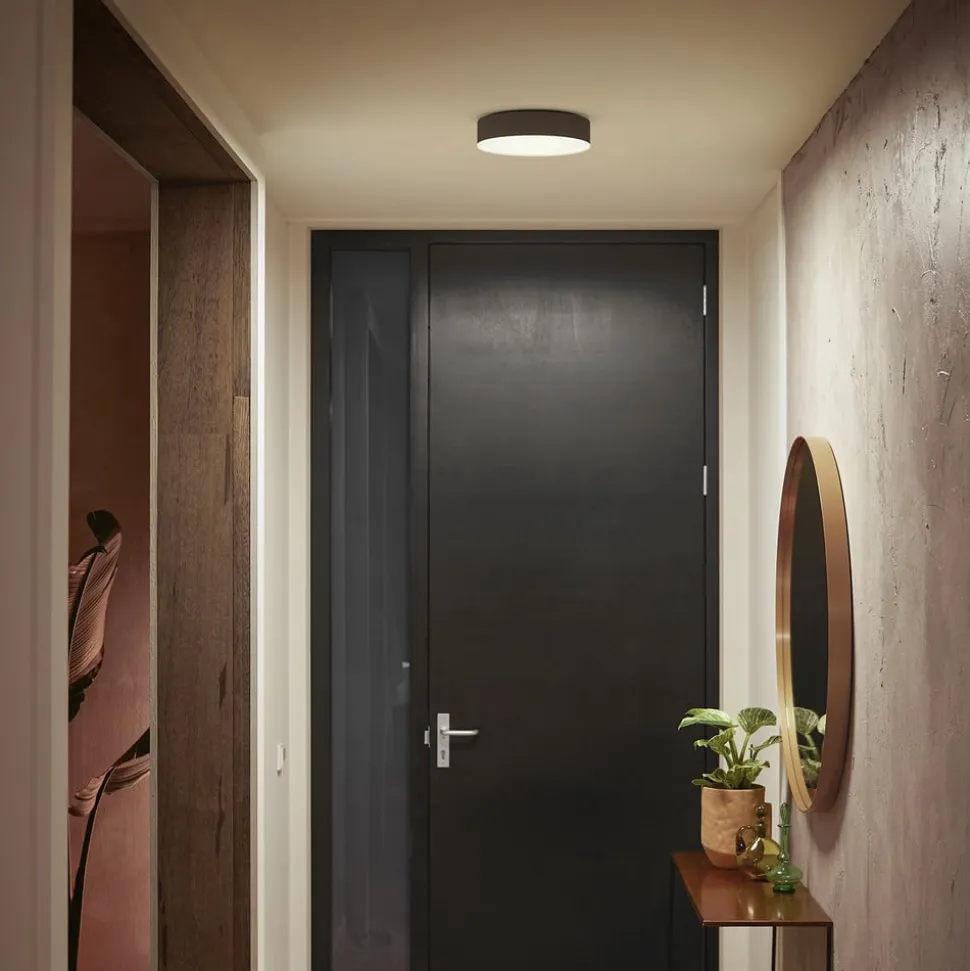 Philips Hue Enrave LED-loftslampe 26,1 cm sort