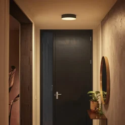 Philips Hue Enrave LED-loftslampe 26,1 cm sort