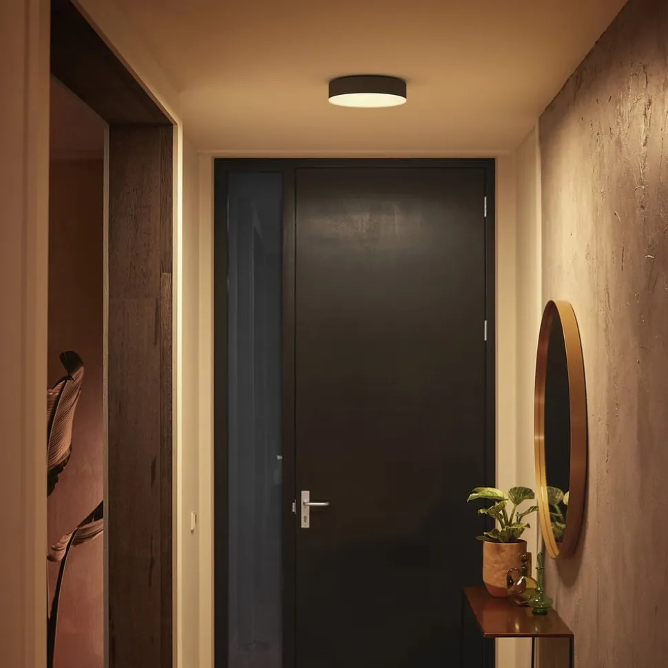 Philips Hue Enrave LED-loftslampe 26,1 cm sort
