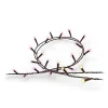 Philips Hue Festavia LED-lyskæde, CCT RGB 40 m