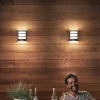 Philips LED udendørs væglampe Python UE, antracit, sensor