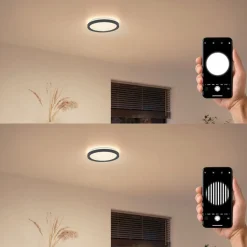 Philips LED-loftlampe Aio RD sort Ø 30 cm fjernbetjening